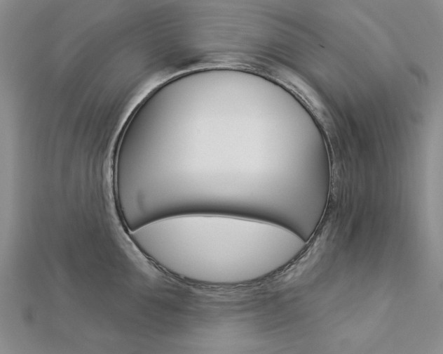 X0000113020907200908271031