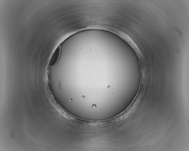 X0000113020908200908271031