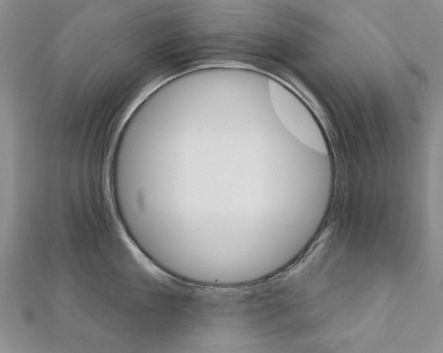 X0000113020909200908271031