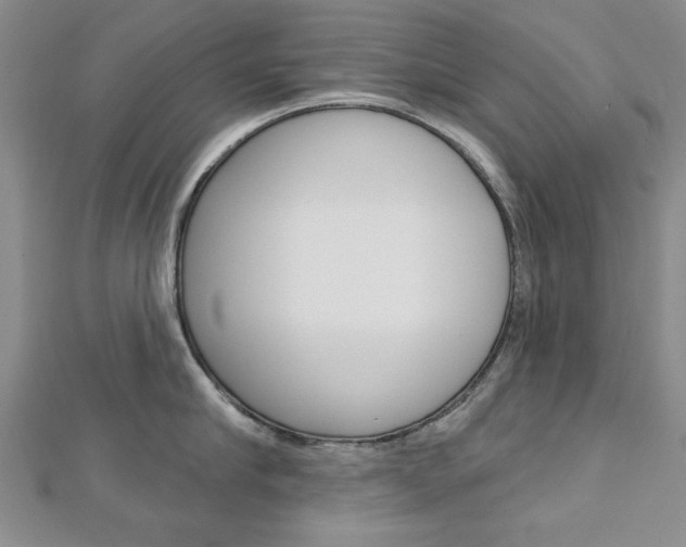 X0000113020910200908271031