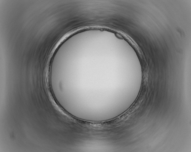 X0000113020911200908271031