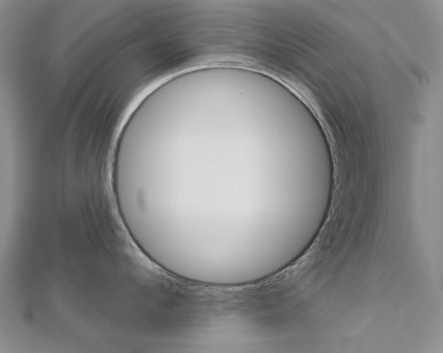 X0000113020912200908271031