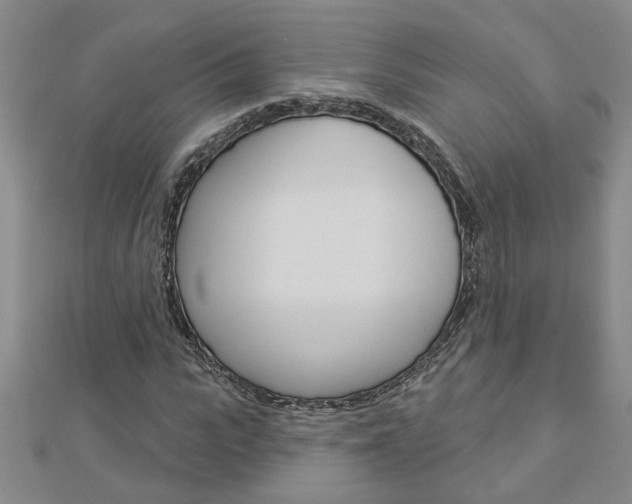X0000113020919200908271030