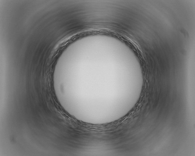 X0000113020920200908271030
