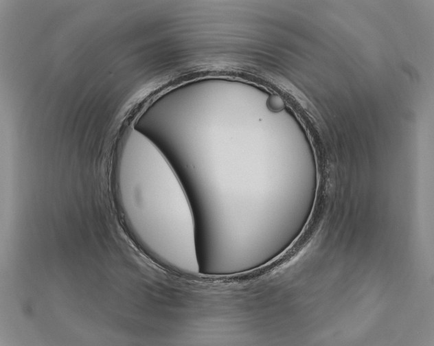 X0000113020922200908271030
