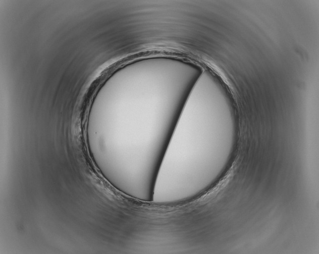 X0000113020923200908271030