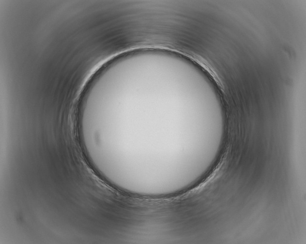 X0000113020926200908271030