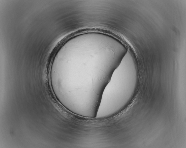 X0000113020927200908271030