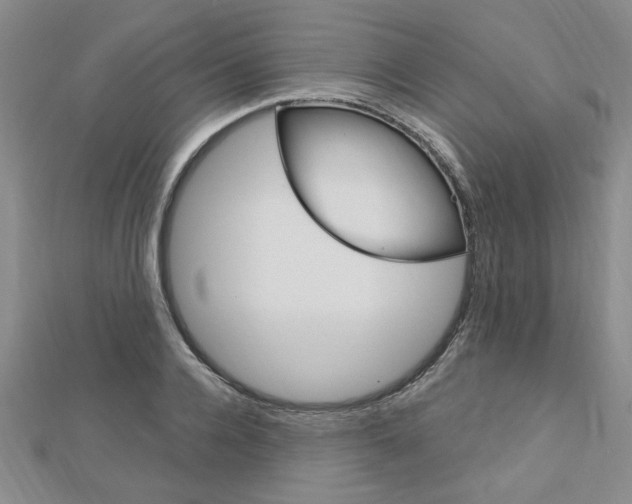 X0000113020936200908271030