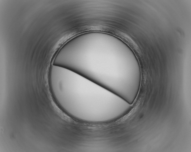 X0000113020938200908271030