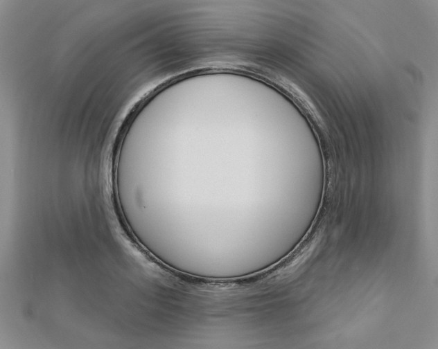 X0000113020939200908271030