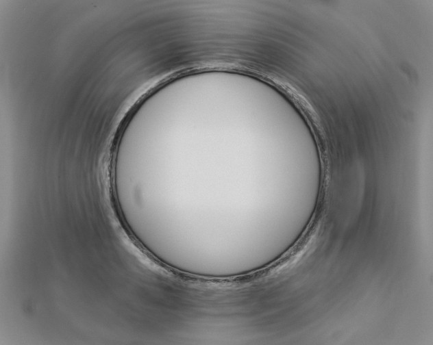 X0000113020941200908271030