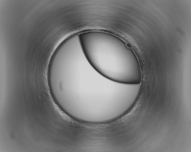 X0000113020942200908271030