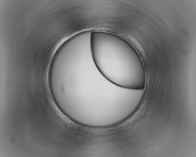 X0000113020944200908271030