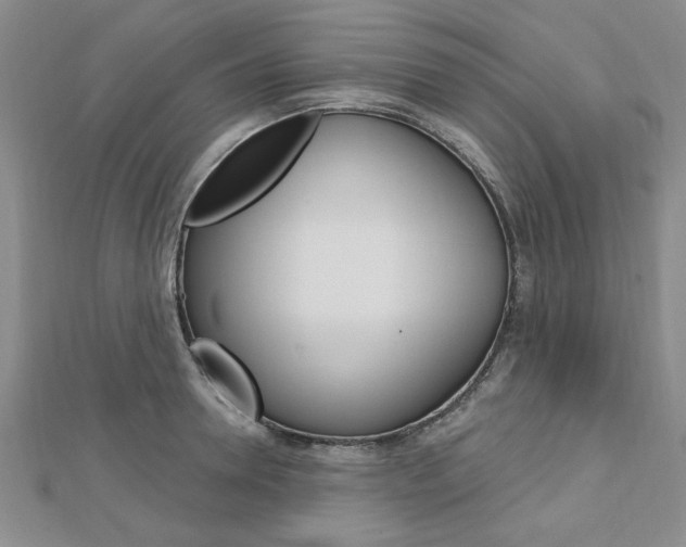 X0000113020946200908271030