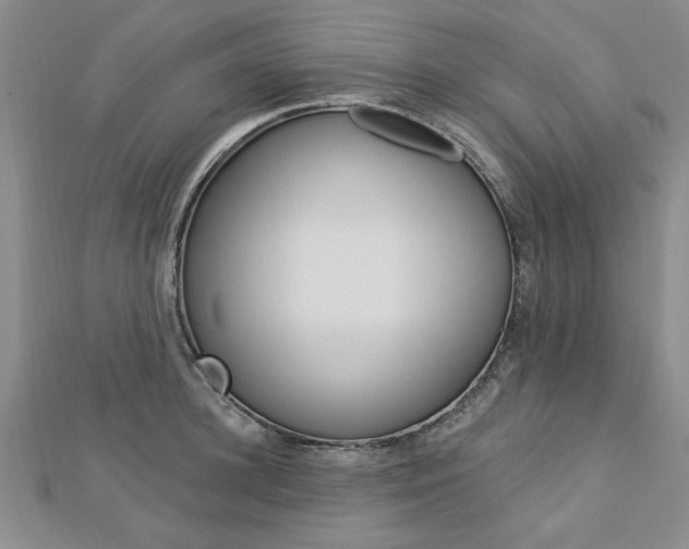X0000113020948200908271030