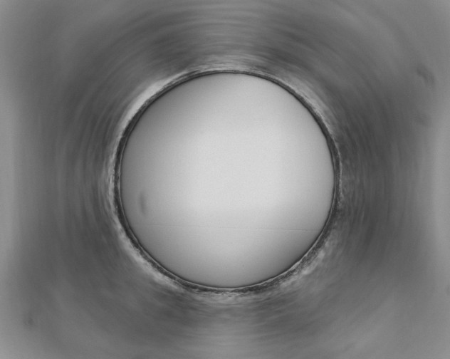 X0000113020949200908271031