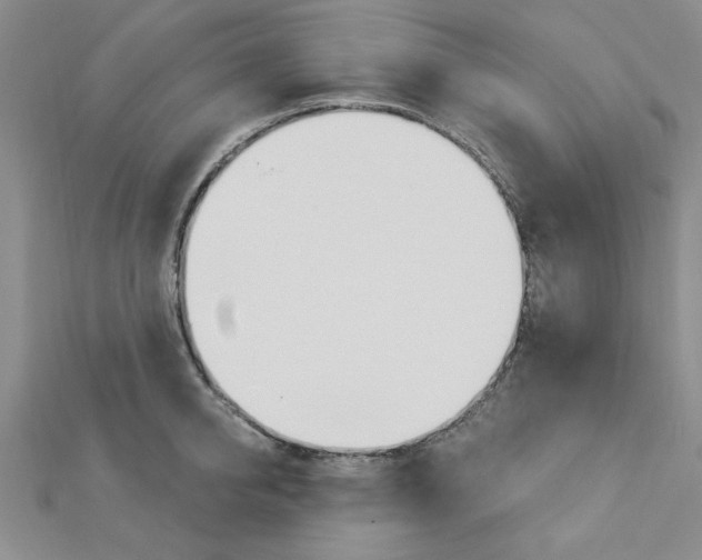 X0000113020950200908271031