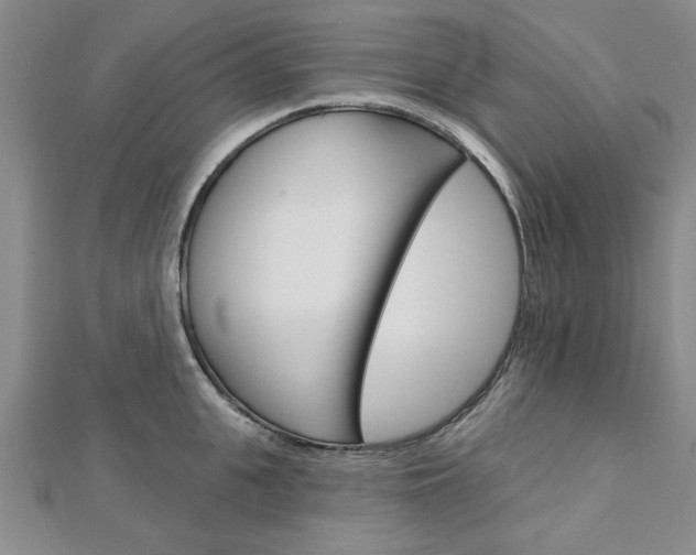 X0000113020951200908271031