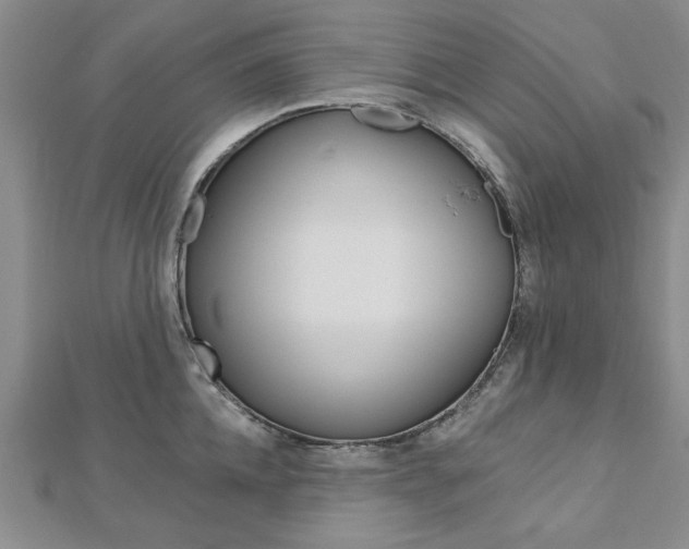 X0000113020952200908271031