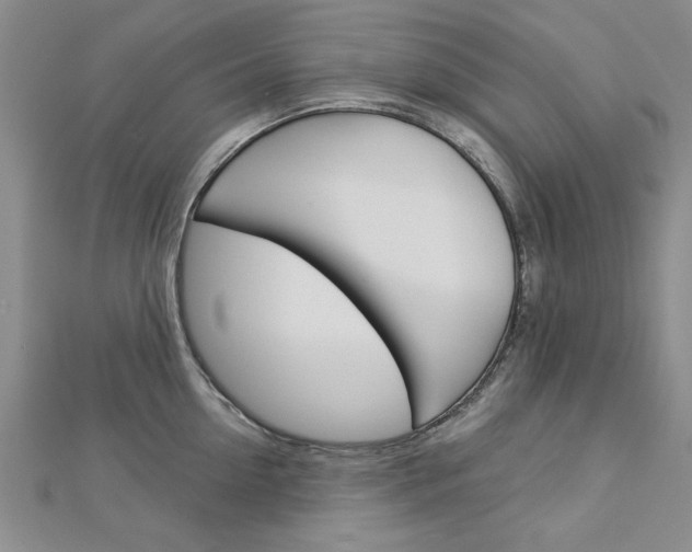 X0000113020954200908271031