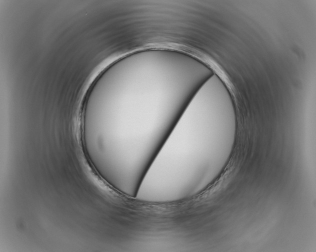 X0000113020955200908271031