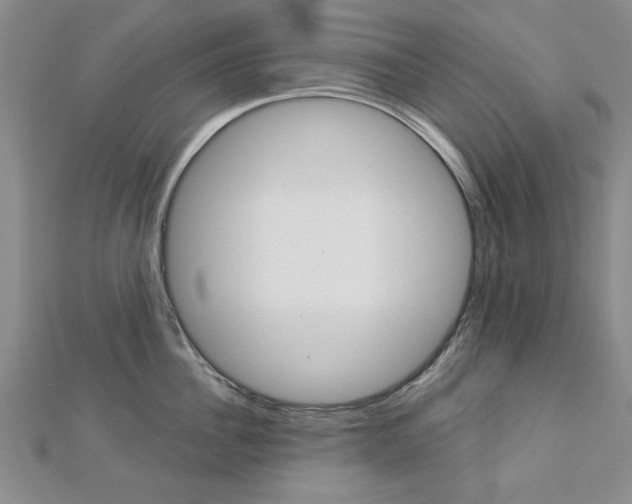 X0000113020956200908271031