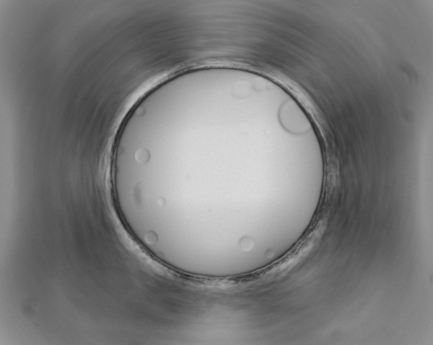 X0000113020957200908271031