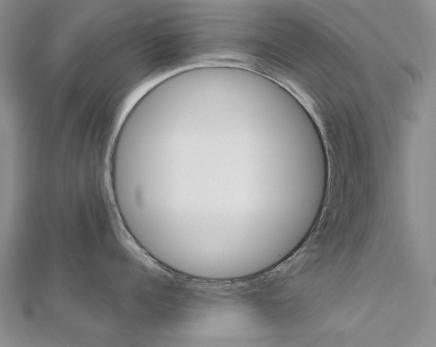 X0000113020960200908271031
