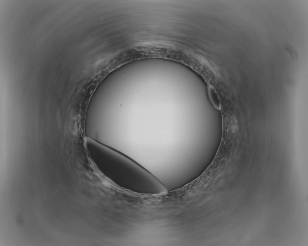 X0000113020965200908271030
