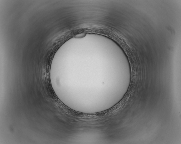 X0000113020966200908271030