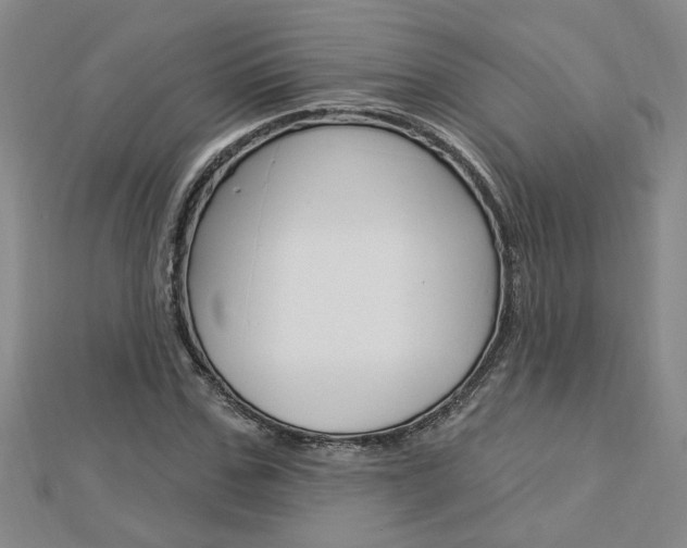 X0000113020971200908271030