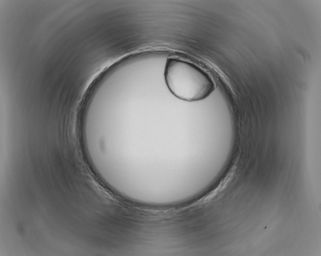 X0000113020973200908271030