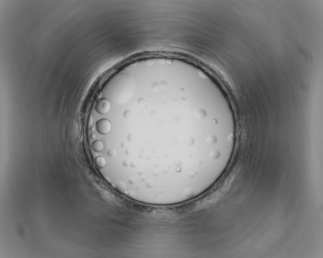 X0000113020974200908271030