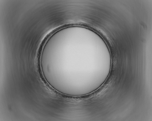 X0000113020975200908271030