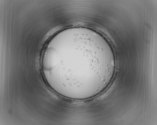X0000113020978200908271030