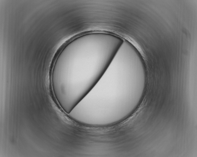 X0000113020980200908271030