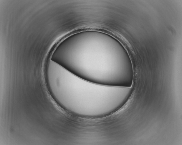 X0000113020981200908271030