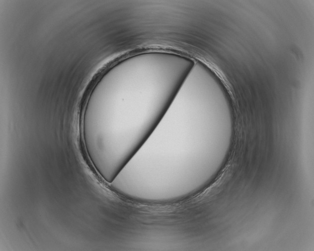 X0000113020984200908271030