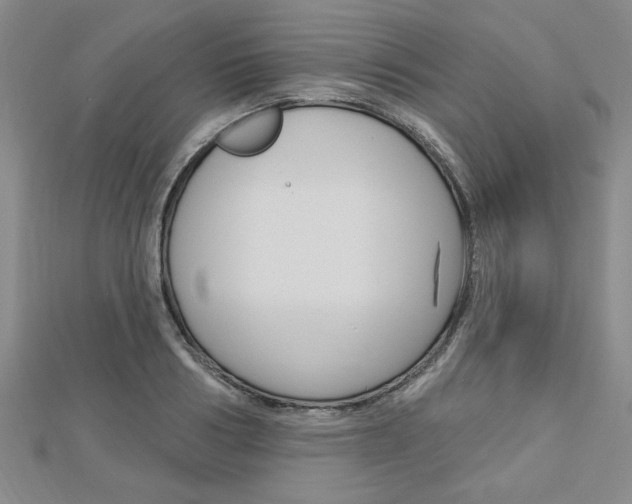 X0000113020986200908271030