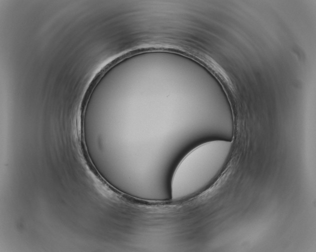X0000113020988200908271030