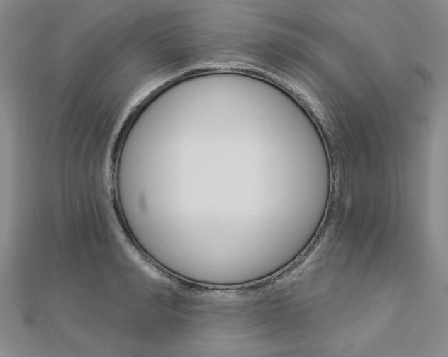 X0000113020990200908271030