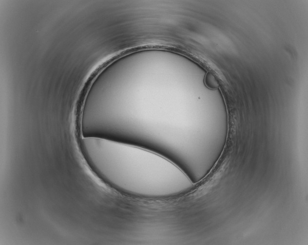 X0000113020991200908271030