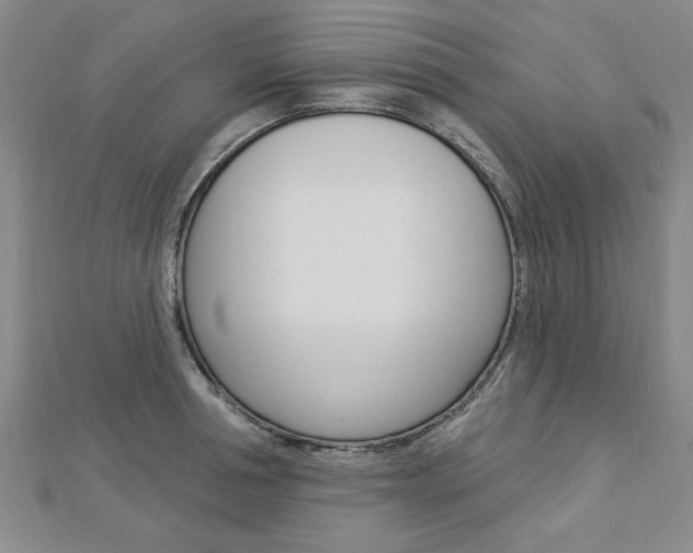 X0000113020994200908271030