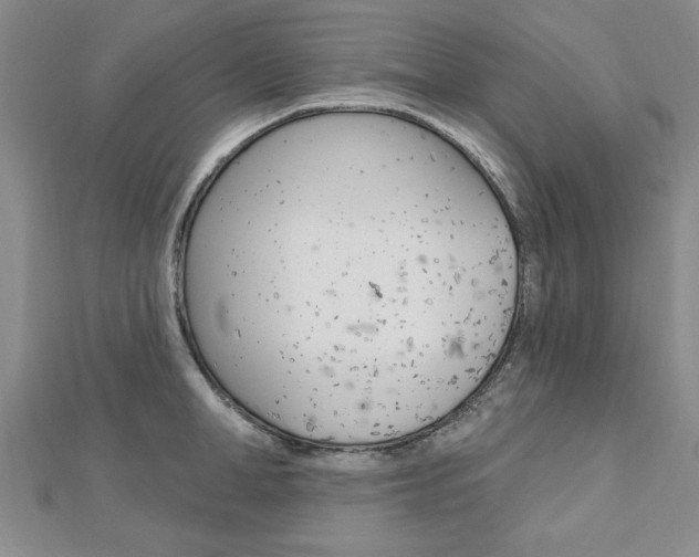 X0000113020998200908271030