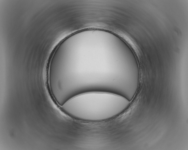 X0000113020999200908271030