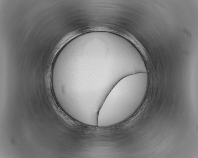 X0000113021002200908271029