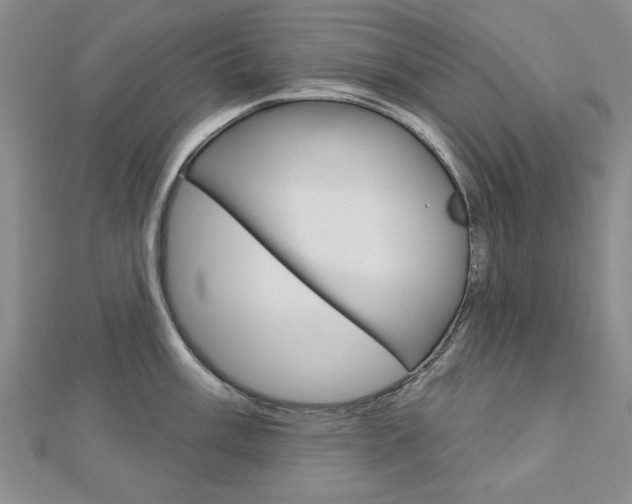 X0000113021003200908271029