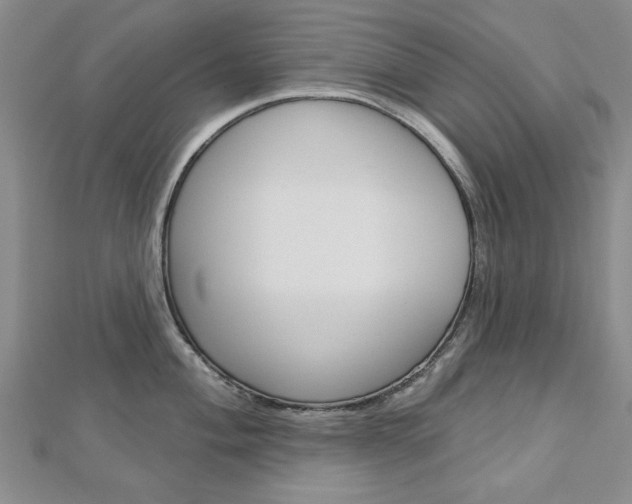 X0000113021004200908271029