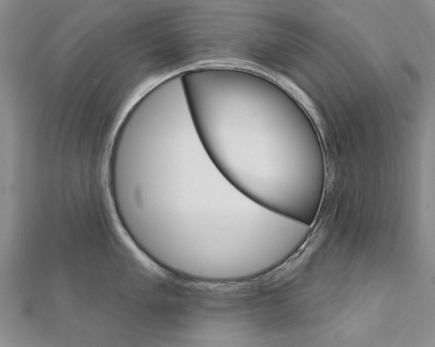 X0000113021005200908271029